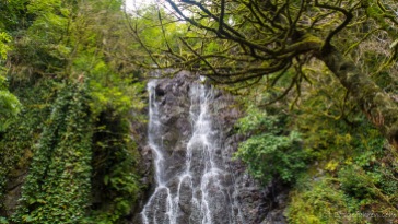 Dschungel-Wasserfall in Mirveti