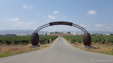 Ja - Aserbaidschan ist auch Weinanbauland. An der Sonne mangelt es schonmal nicht.